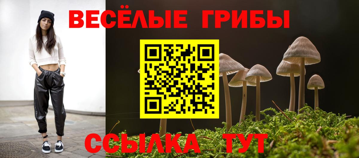 Псилоцибиновые грибы Cubensis  Вход с VPN  Тобольск  Галлюциногенные грибы Cubensis 